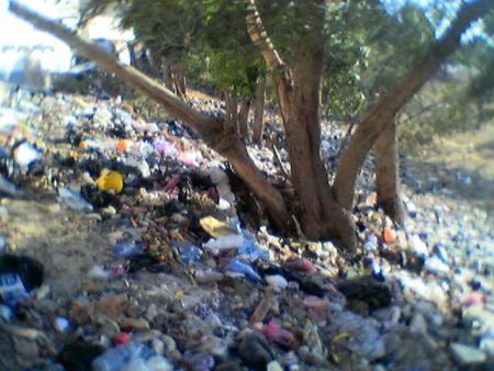 ������� � �����������