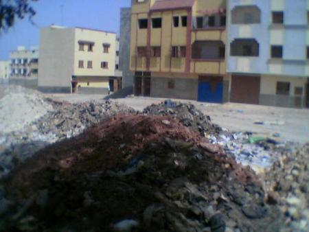 ���� ���� �������